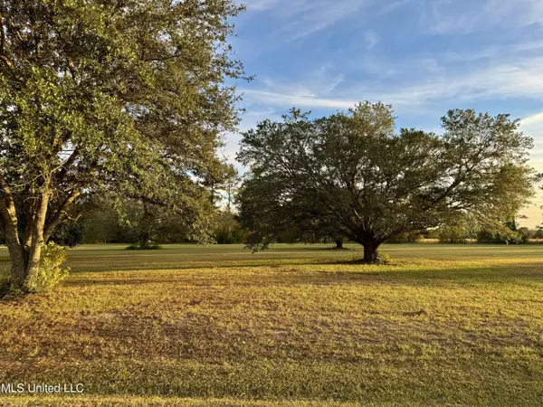 Carriere, MS 39426,20 Anastasia Drive