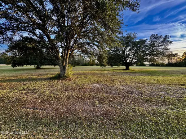 Carriere, MS 39426,20 Anastasia Drive