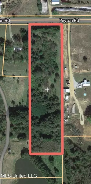 Peyton Road, Coldwater, MS 38618