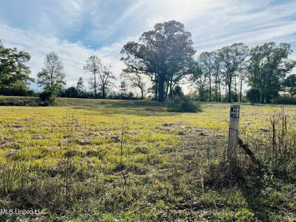 Saucier, MS 39574,23007 Ira Johnson Road