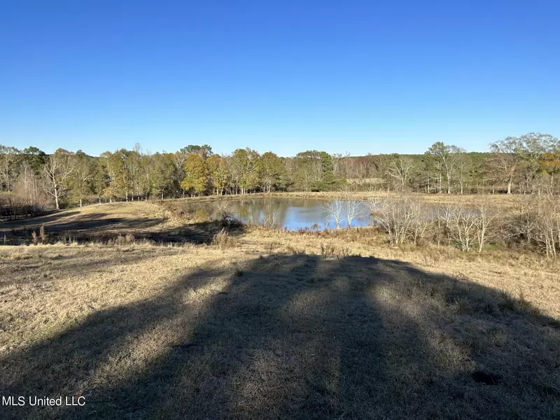 County Road 8, Stringer, MS 39481