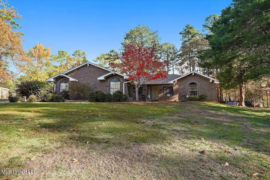 110 Long Meadow Court, Brandon, MS 39042