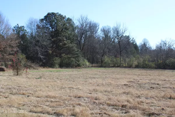 Holly Springs, MS 38635,1 Rossville Road