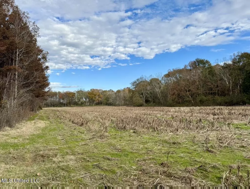 Canton, MS 39046,1 Stump Bridge Road