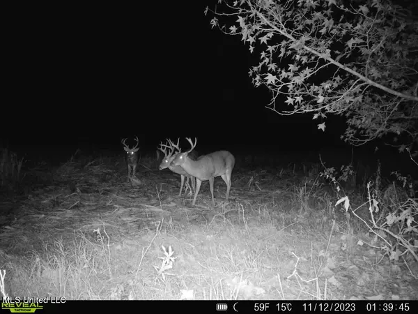 Canton, MS 39046,1 Stump Bridge Road