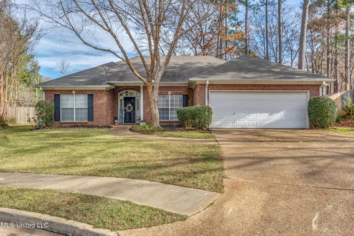 Brandon, MS 39047,340 Woodhollow Cove