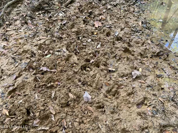 Raleigh, MS 39153,1 Smith County Road 504