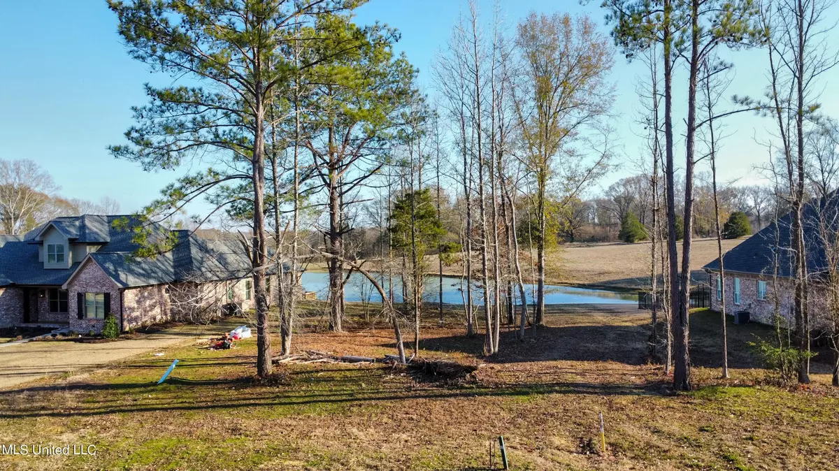 Clinton, MS 39056,204 Cedar Hill Way