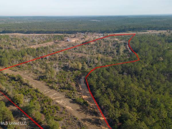 38.53 Acre Hwy 98, Leakesville, MS 39451