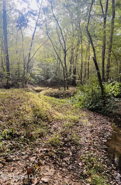 Old Benton Road, Yazoo City, MS 39194