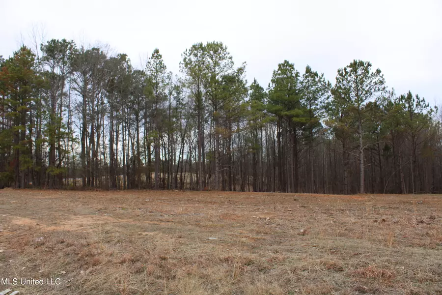5 Co Rd 607, Ripley, MS 38663
