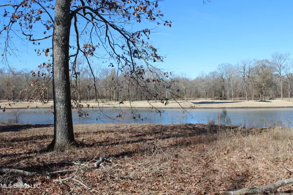 Canton, MS 39046,414 Audubon Woods