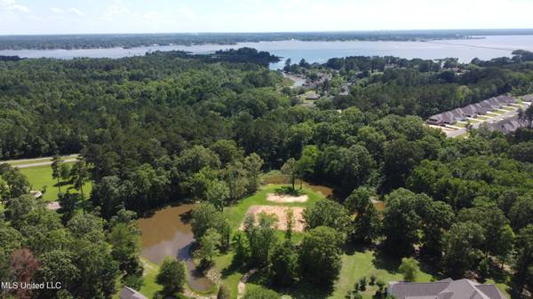 305 Partridge Cove, Brandon, MS 39047