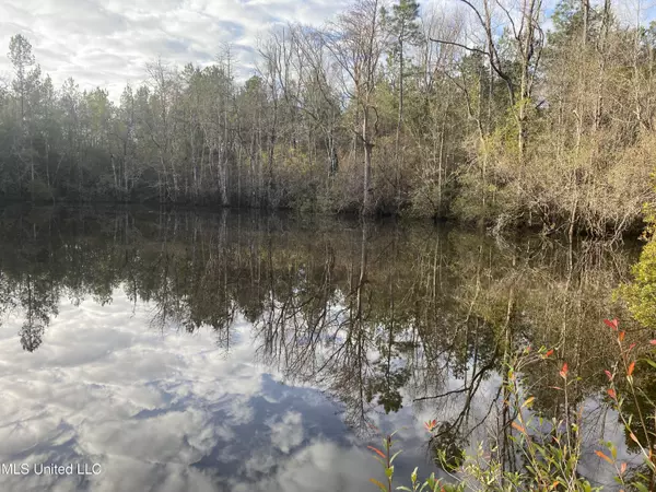 Blue Lake Road, Perkinston, MS 39573