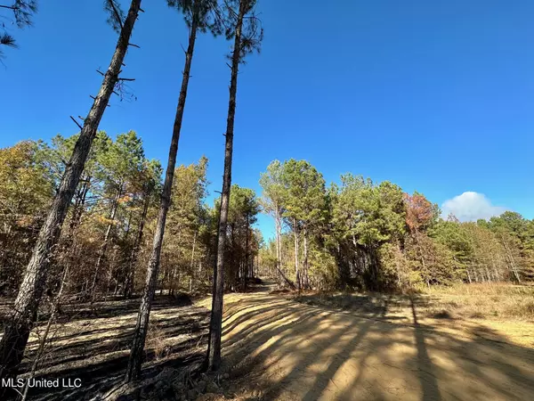 Sallis, MS 39160,1 Cr 4137