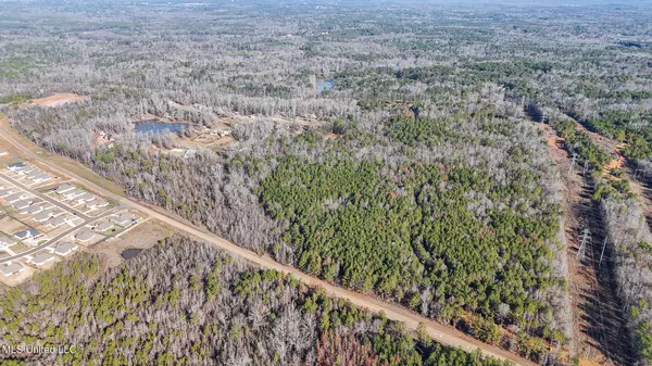 Brandon, MS 39042,Grants Ferry Pkwy Parkway