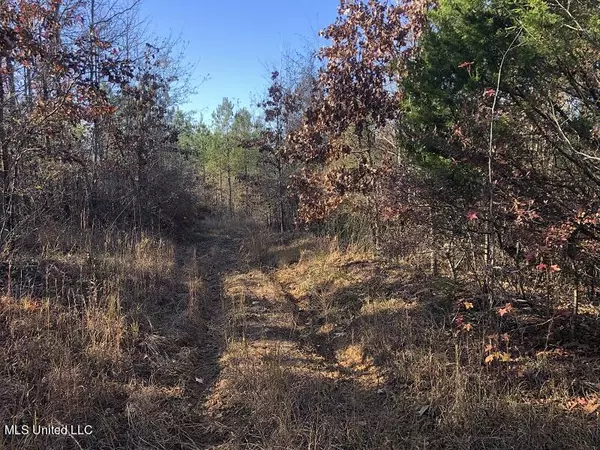 West, MS 39192,Sand Hill Rd