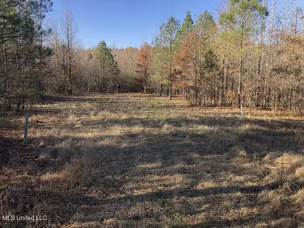 West, MS 39192,Sand Hill Rd