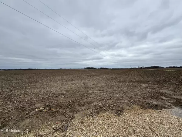 Lambert, MS 38643,Savage