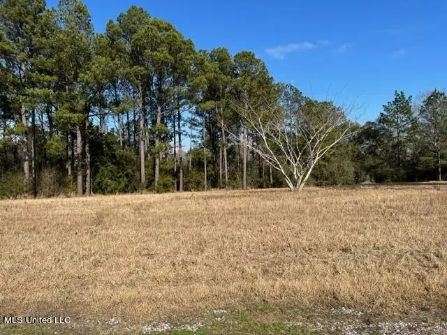 Southern Hills Drive, Lucedale, MS 39452
