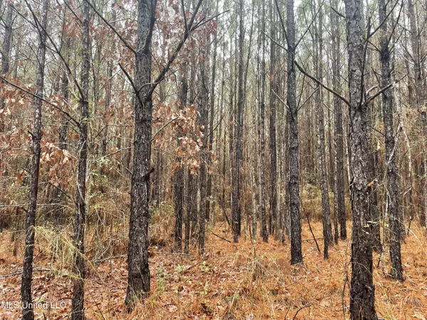 Union, MS 39365,0 Little Rock County Line Road Road