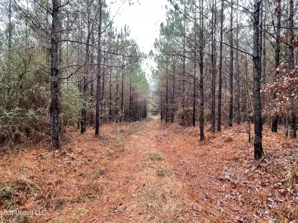 Union, MS 39365,0 Little Rock County Line Road Road