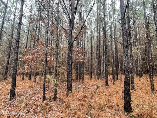 Union, MS 39365,0 Little Rock County Line Road Road