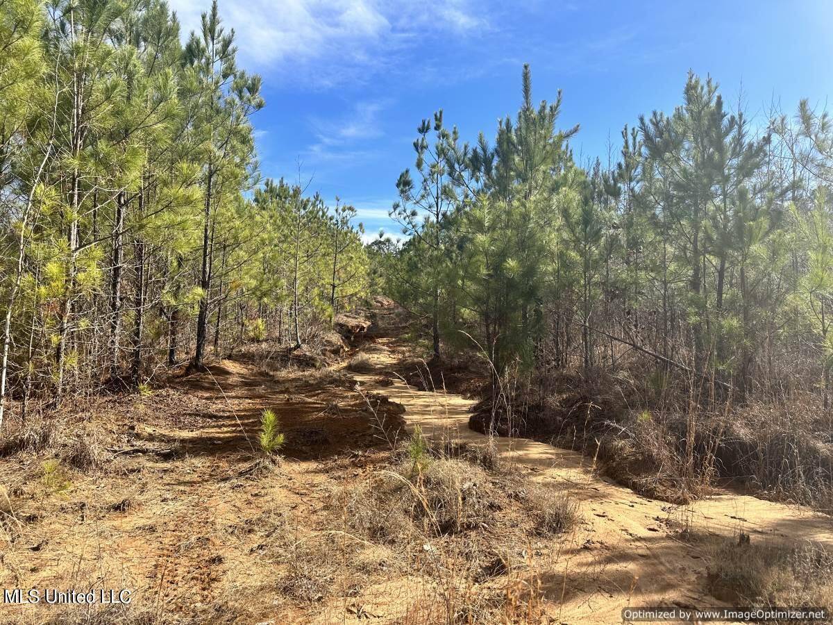Kosciusko, MS 39090,County Road 5041