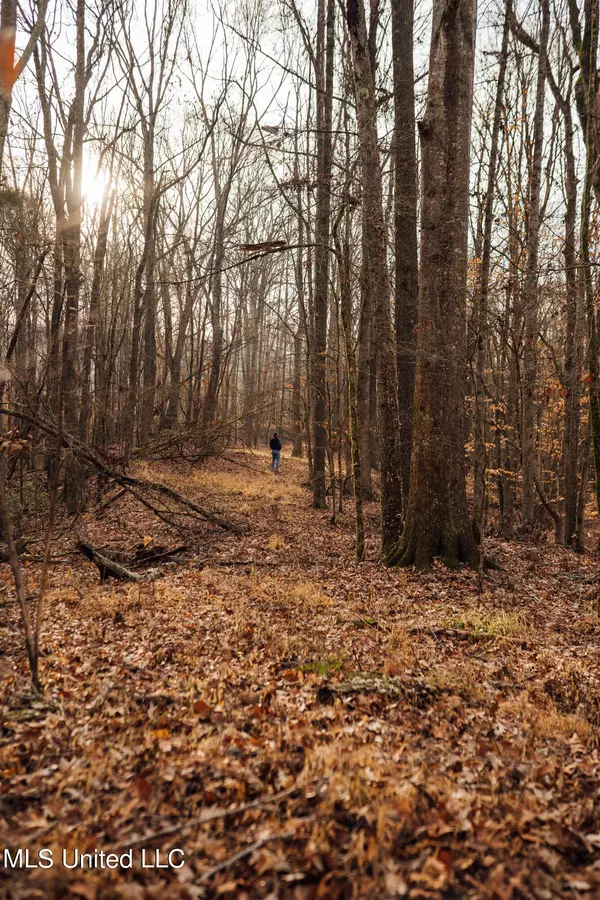 Yazoo City, MS 39194,5274 Tinsley Road