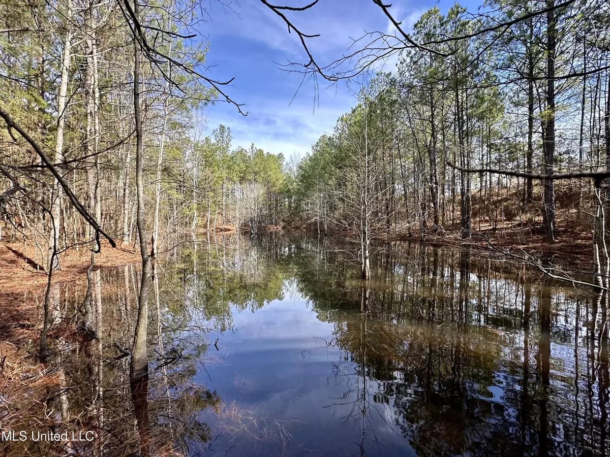 Louisville, MS 39339,Bates Road Road