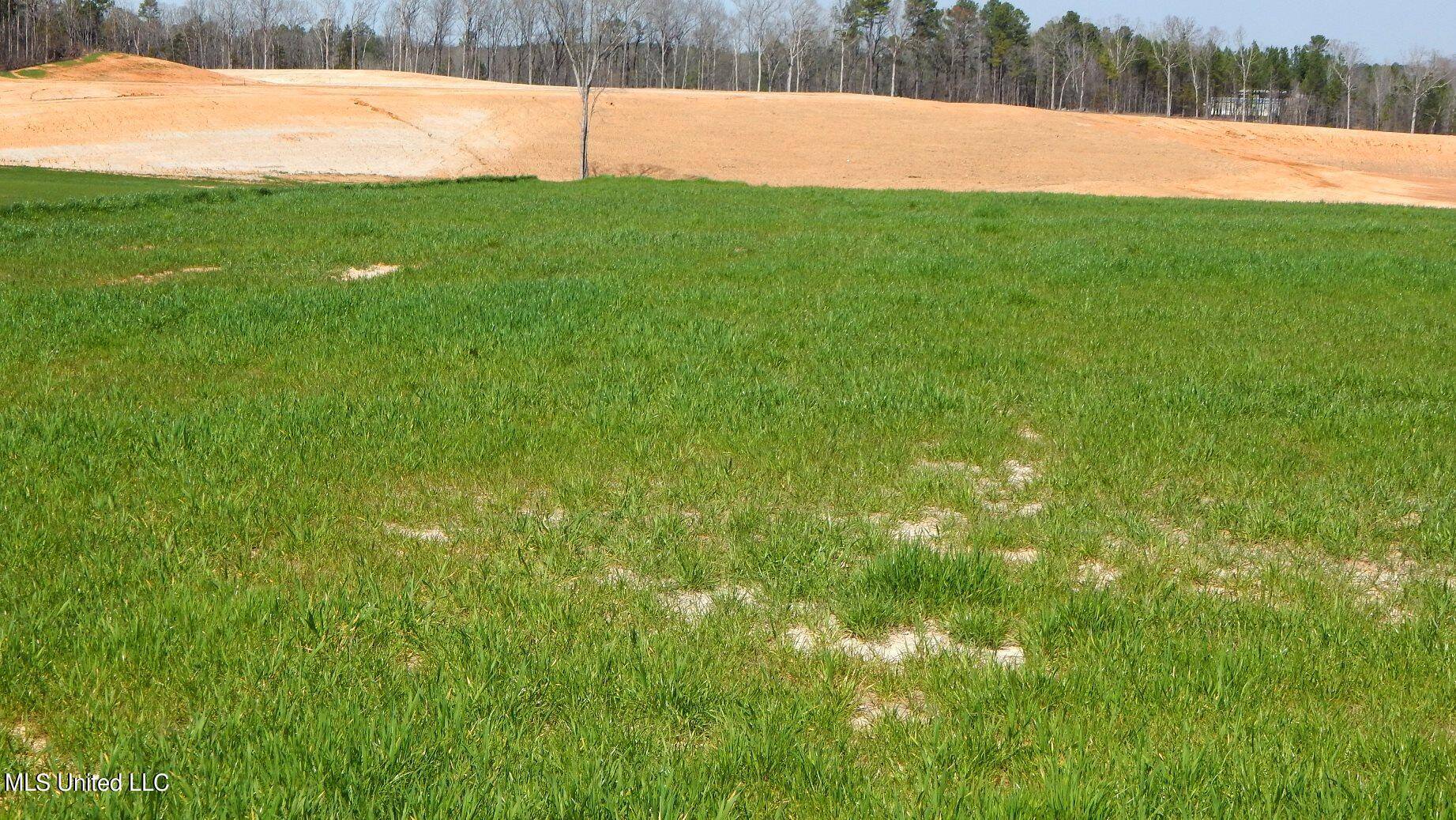 Gore Springs, MS 38929,7 Graysport Crossing Road