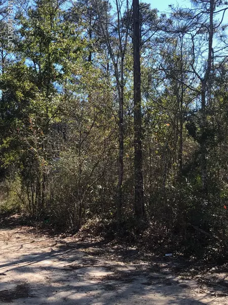 Willow Lot 358 Street, Ocean Springs, MS 39564