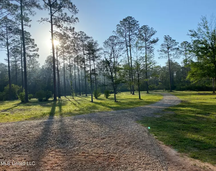 491 Jess Williams Road, Poplarville, MS 39470