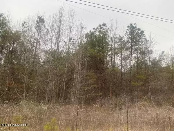 Holly Springs, MS 38635,Marianna Road