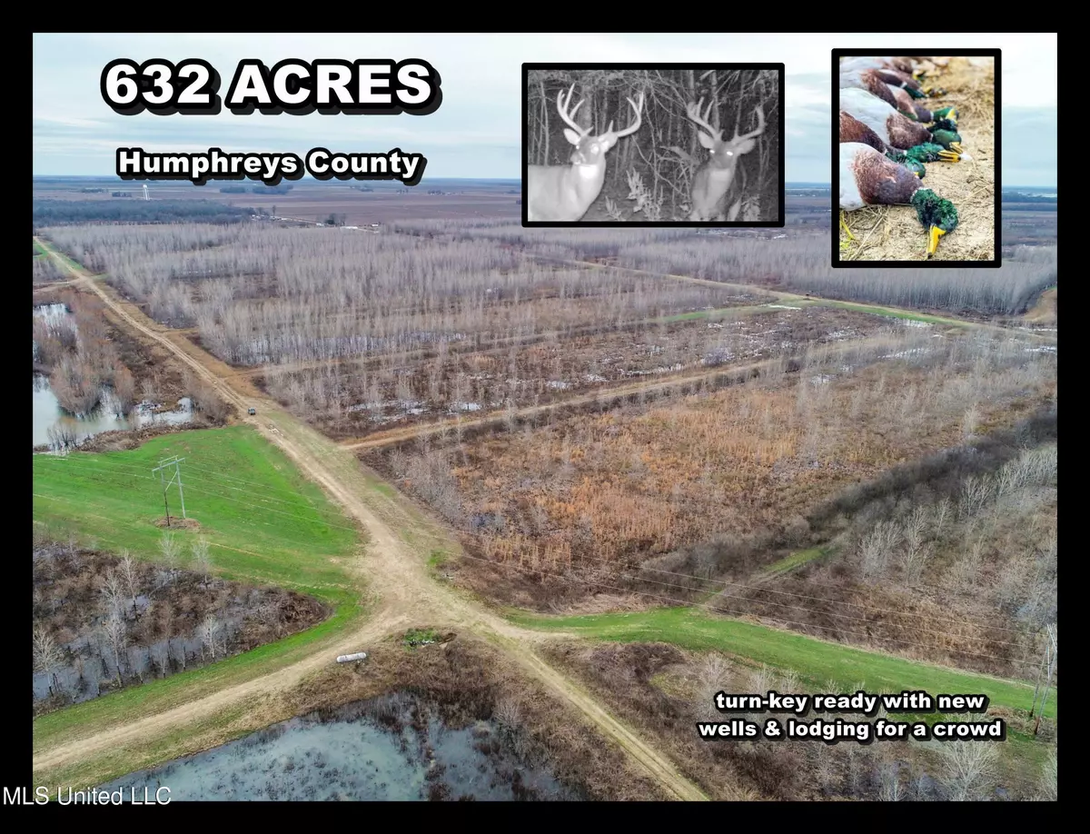 Isola, MS 38754,Catfish Road