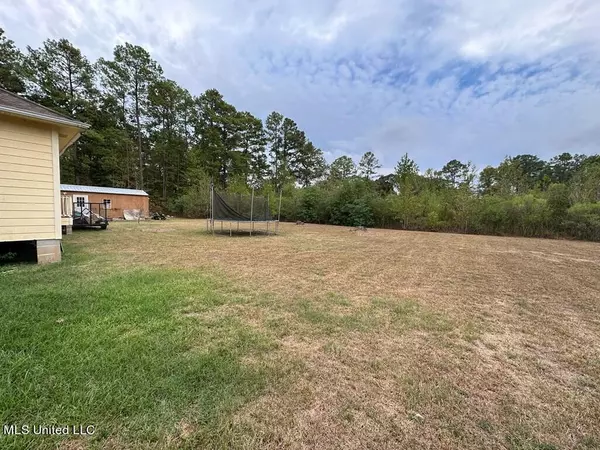 Liberty, MS 39645,4535 Tower Hill Road