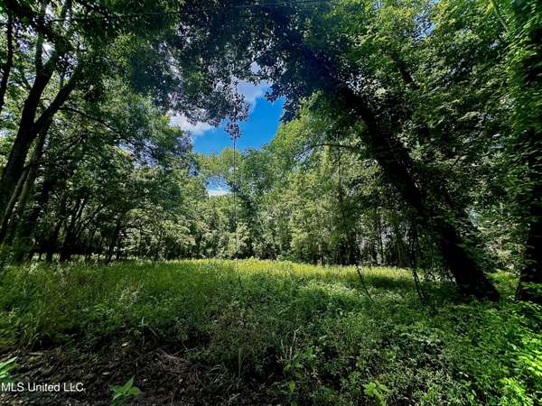 5792 Lake Mary Road, Woodville, MS 39669