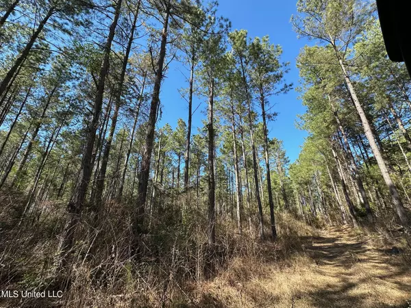 Union, MS 39365,1 Floyd Rowzee Rd