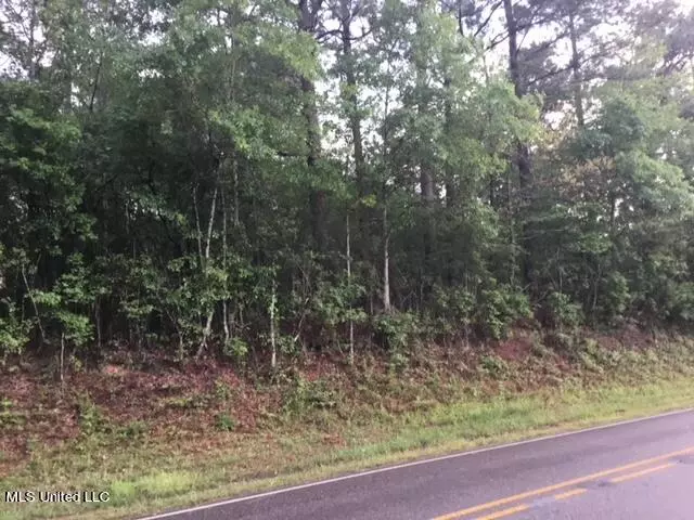 0 W Mchenry, Mchenry, MS 39561