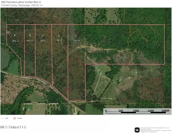 14.5 +/- Acres Luther Carter Road, Petal, MS 39465