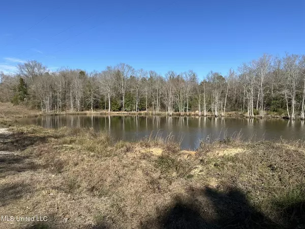 Stratton Rd Road, Union, MS 39365