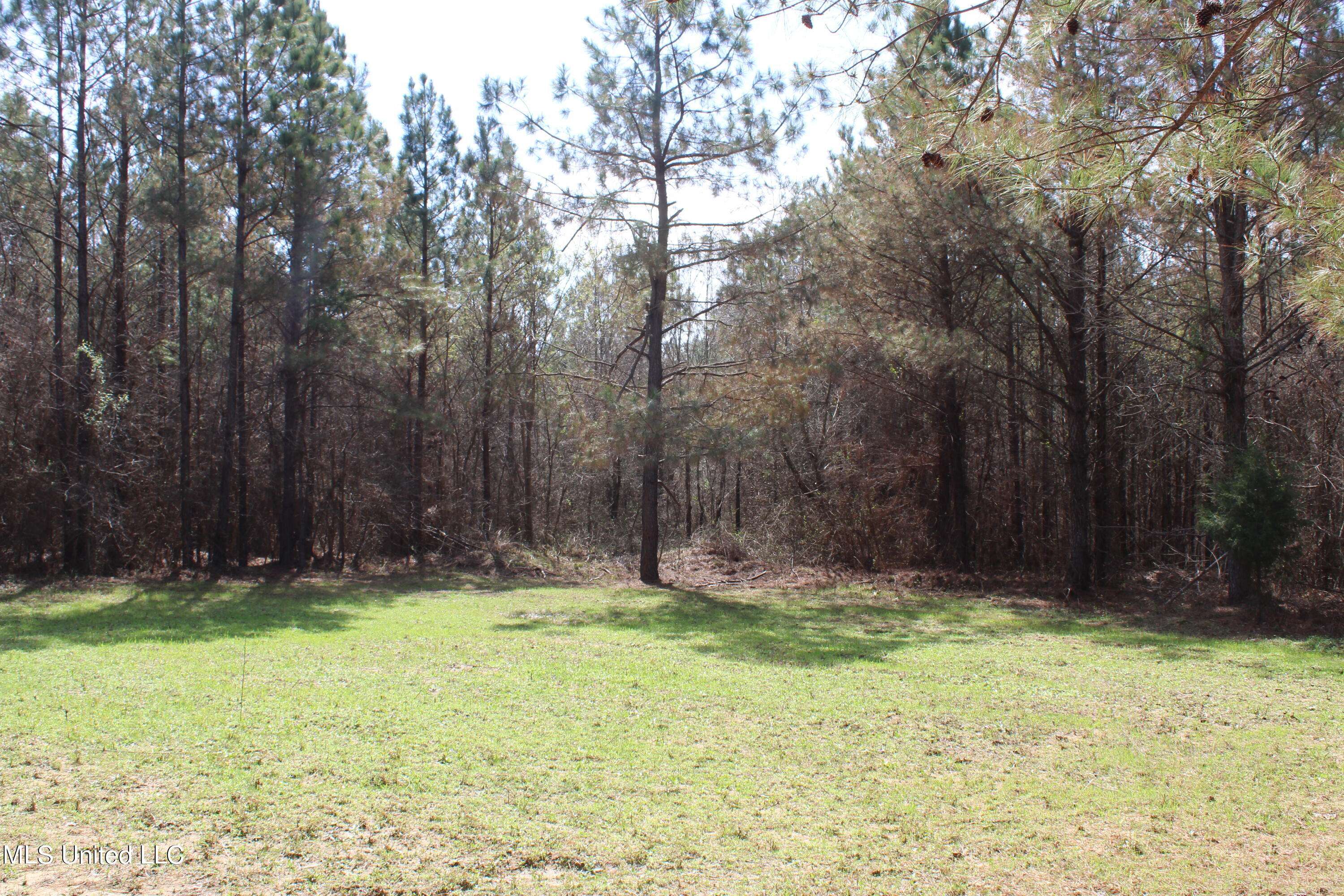 115 Gadd Road, Hickory Flat, MS 38633