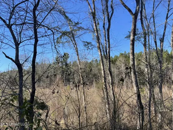 Kilmichael, MS 39747,Bridges Road