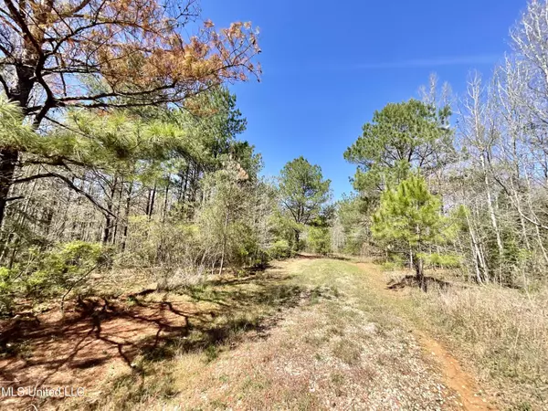 Mendenhall, MS 39114,0 Hayman Lake Road