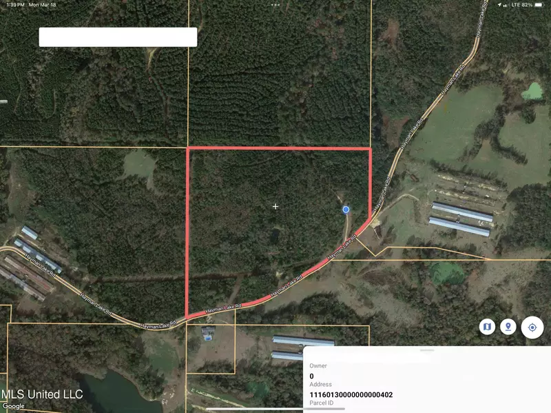 0 Hayman Lake Road, Mendenhall, MS 39114