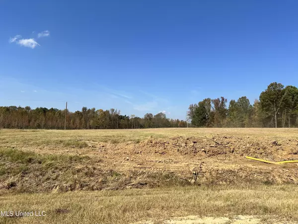 28 Hazelwood Drive, Lake Cormorant, MS 38641