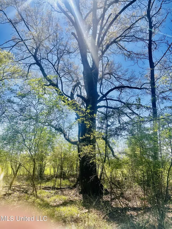 0 Little Rock Road, Crystal Springs, MS 39059