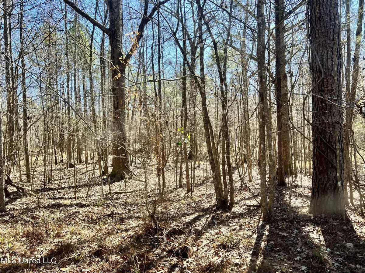 Crosby, MS 39633,Crooked Creek Road