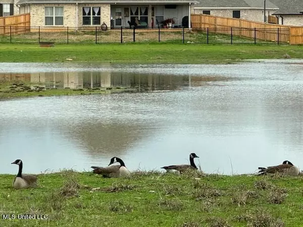 Canton, MS 39046,204 Silver Maple Place Place #Lot 199