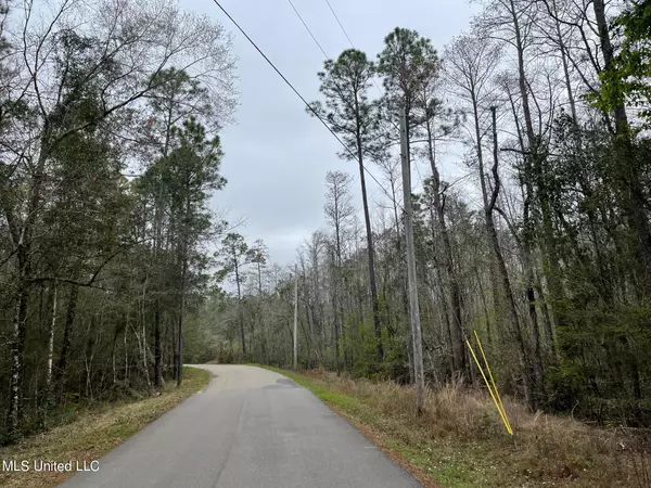 Kiln, MS 39556,Dogpatch Road